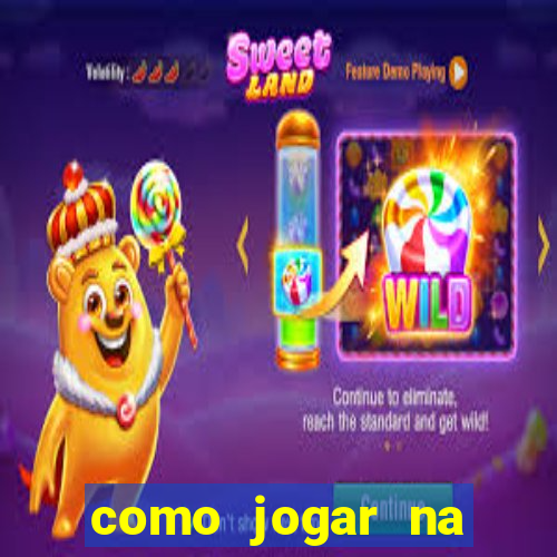 como jogar na teimosinha da lotofacil