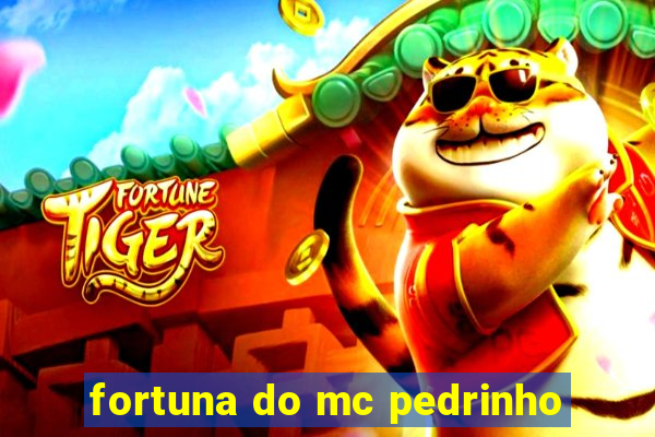 fortuna do mc pedrinho