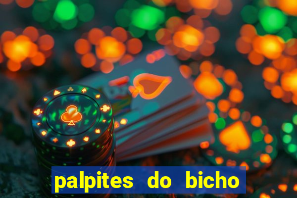 palpites do bicho no celular