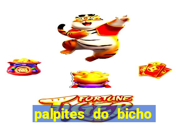 palpites do bicho no celular