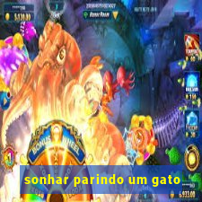 sonhar parindo um gato