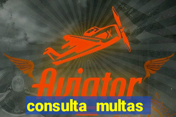 consulta multas detran mg