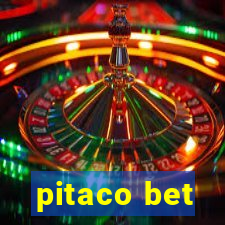 pitaco bet