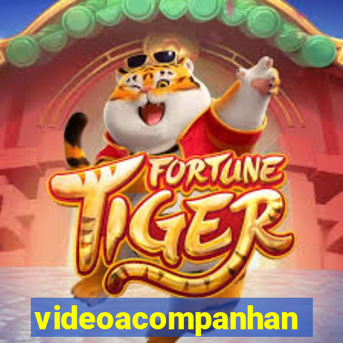 videoacompanhante