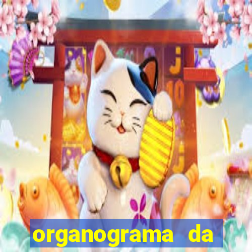 organograma da cacau show