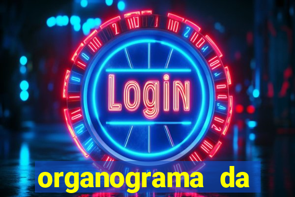 organograma da cacau show