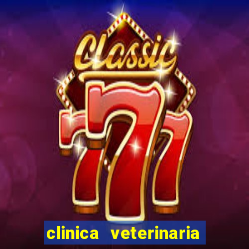 clinica veterinaria cuidar betim