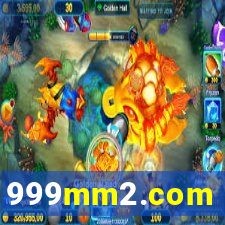 999mm2.com