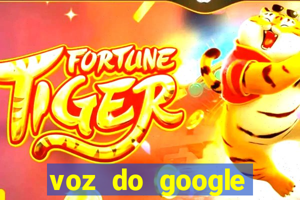 voz do google tradutor homem