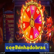 coelhinhadobrasil