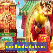 coelhinhadobrasil