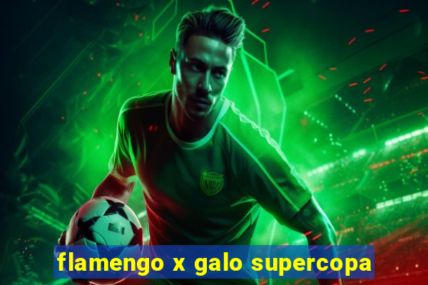 flamengo x galo supercopa