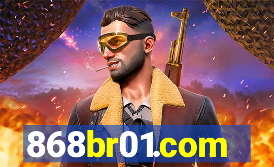 868br01.com