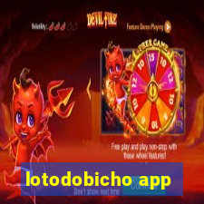 lotodobicho app