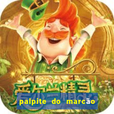 palpite do marcão jogo do bicho