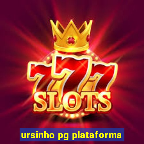 ursinho pg plataforma