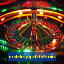 ursinho pg plataforma