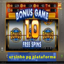 ursinho pg plataforma