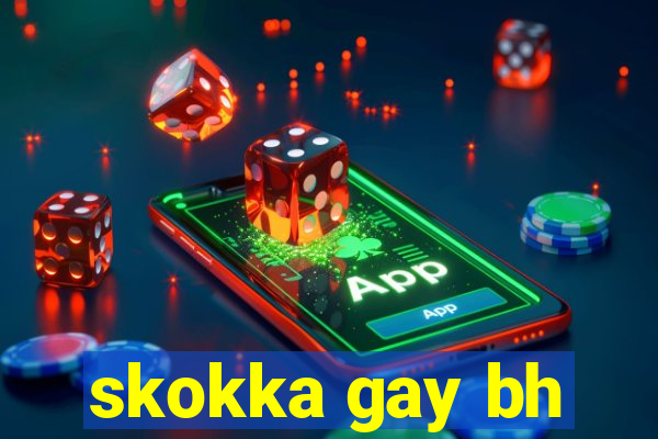 skokka gay bh