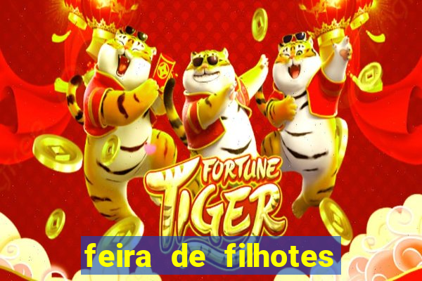 feira de filhotes porto alegre