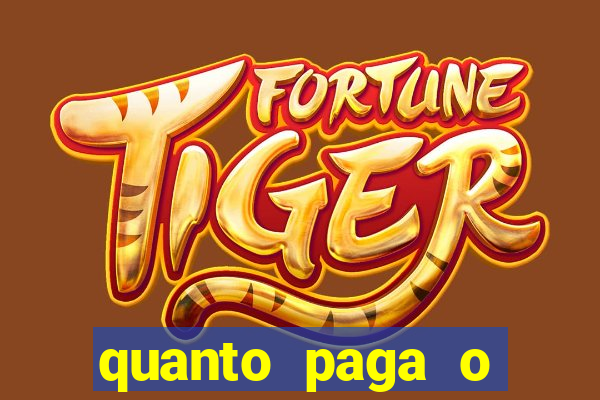 quanto paga o jungle fight