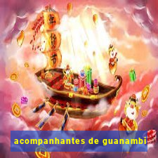 acompanhantes de guanambi