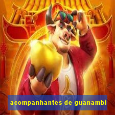 acompanhantes de guanambi