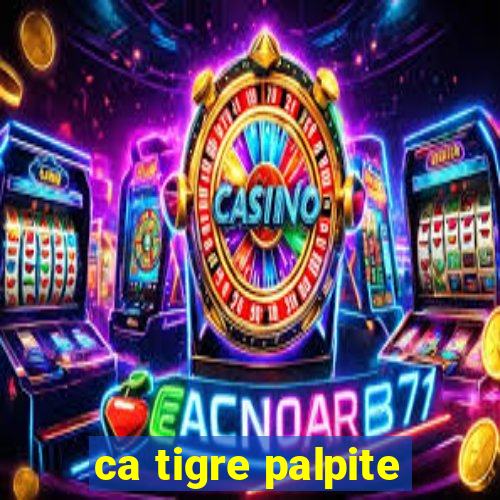 ca tigre palpite