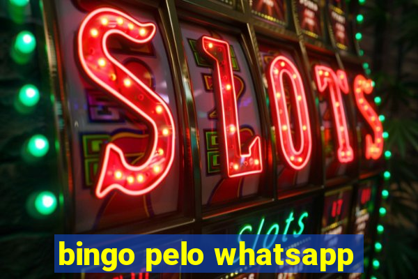 bingo pelo whatsapp