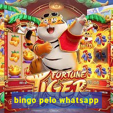 bingo pelo whatsapp