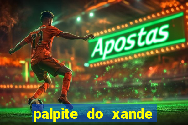 palpite do xande para hoje