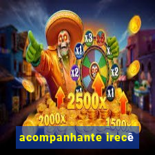 acompanhante irecê