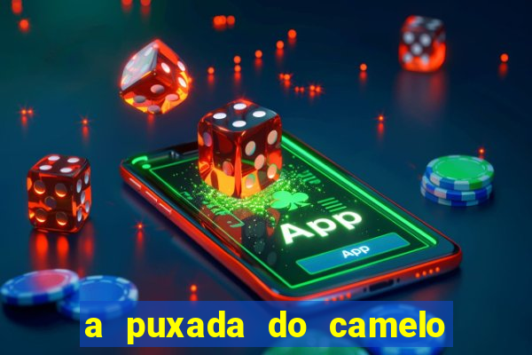 a puxada do camelo no jogo do bicho