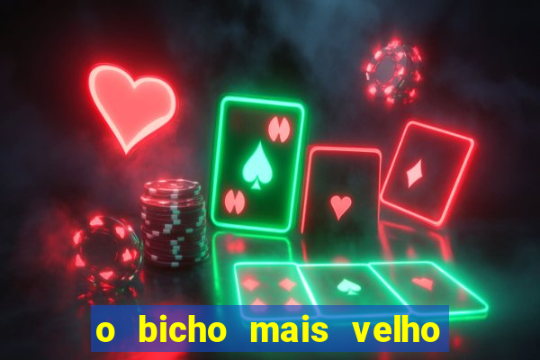 o bicho mais velho da loteria dos sonhos