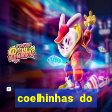 coelhinhas do brasil jp