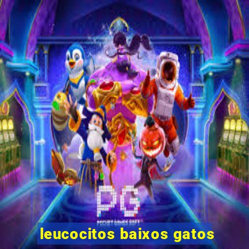 leucocitos baixos gatos