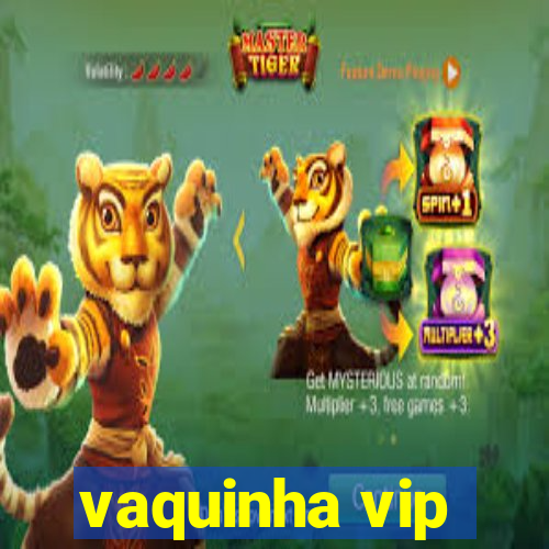 vaquinha vip