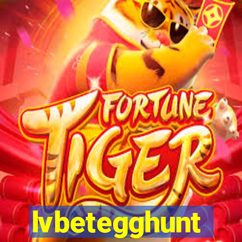 lvbetegghunt