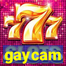 gaycam