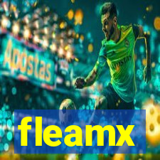 fleamx