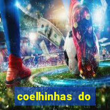 coelhinhas do brasil recife