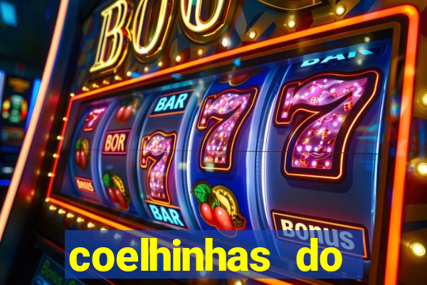 coelhinhas do brasil recife