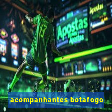 acompanhantes botafogo