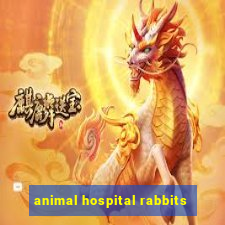 animal hospital rabbits