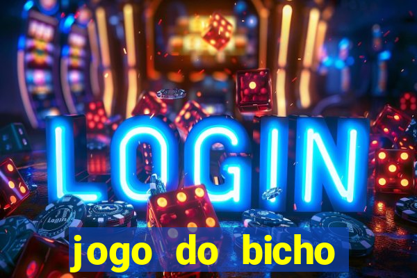 jogo do bicho crash bingo