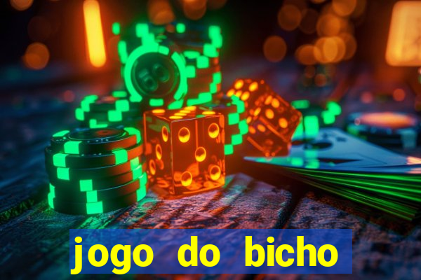 jogo do bicho crash bingo