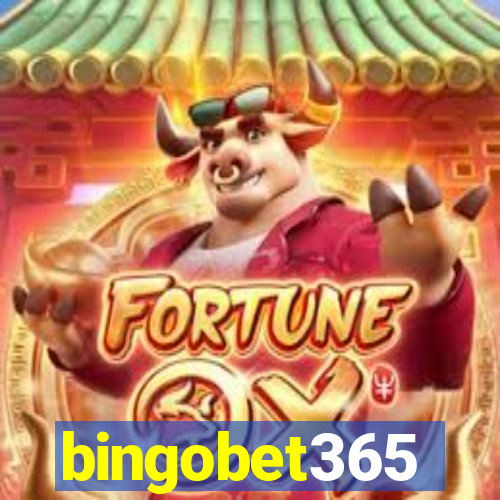 bingobet365