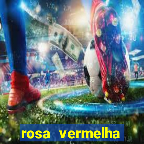 rosa vermelha (letra e cifra)