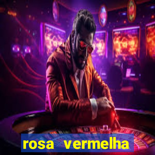 rosa vermelha (letra e cifra)