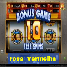 rosa vermelha (letra e cifra)